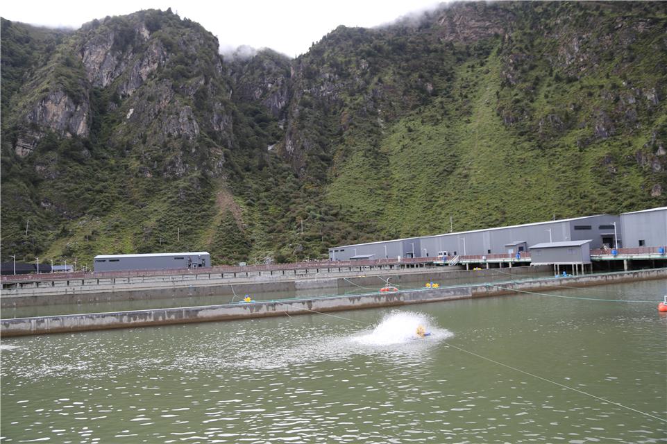 工業生態化循環水水產養殖系統