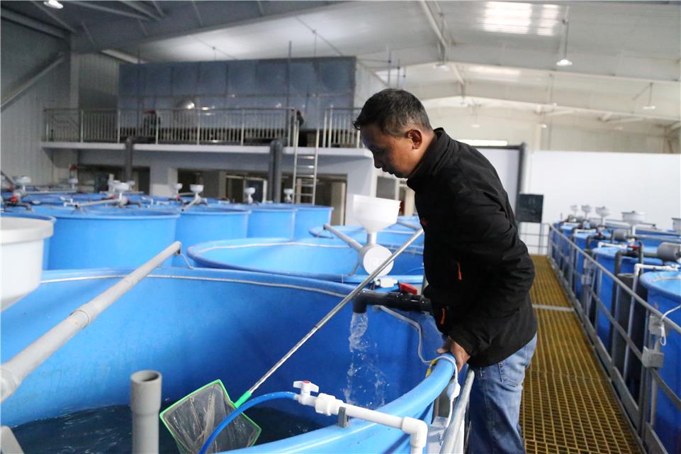 工業生態化循環水水產養殖系統