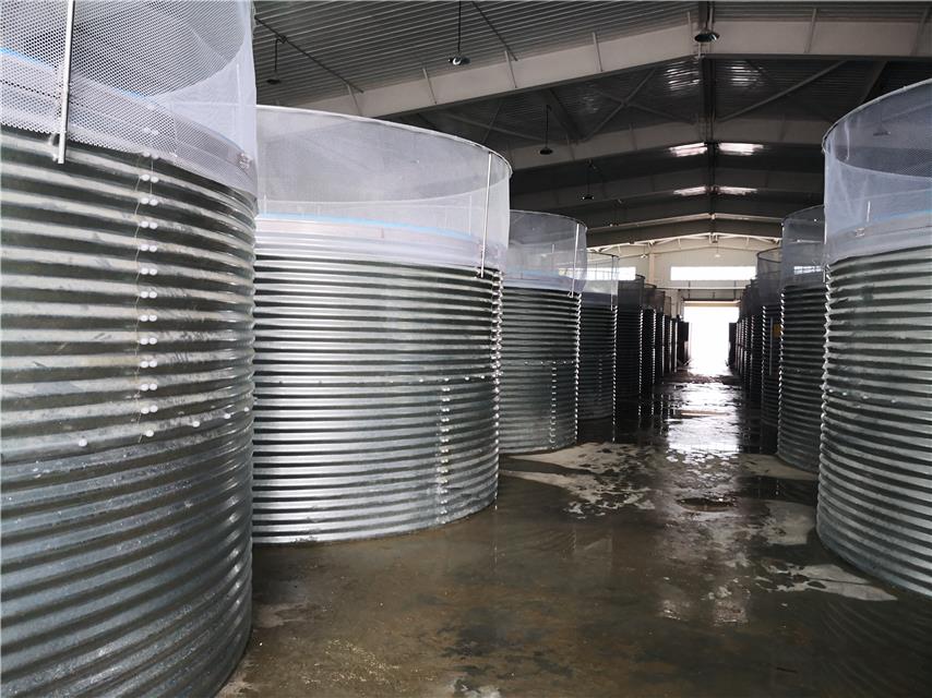 工業生態化循環水水產養殖系統