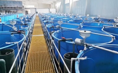 智能化固定式投餌機