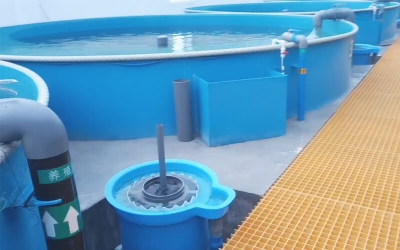 豎流沉淀器