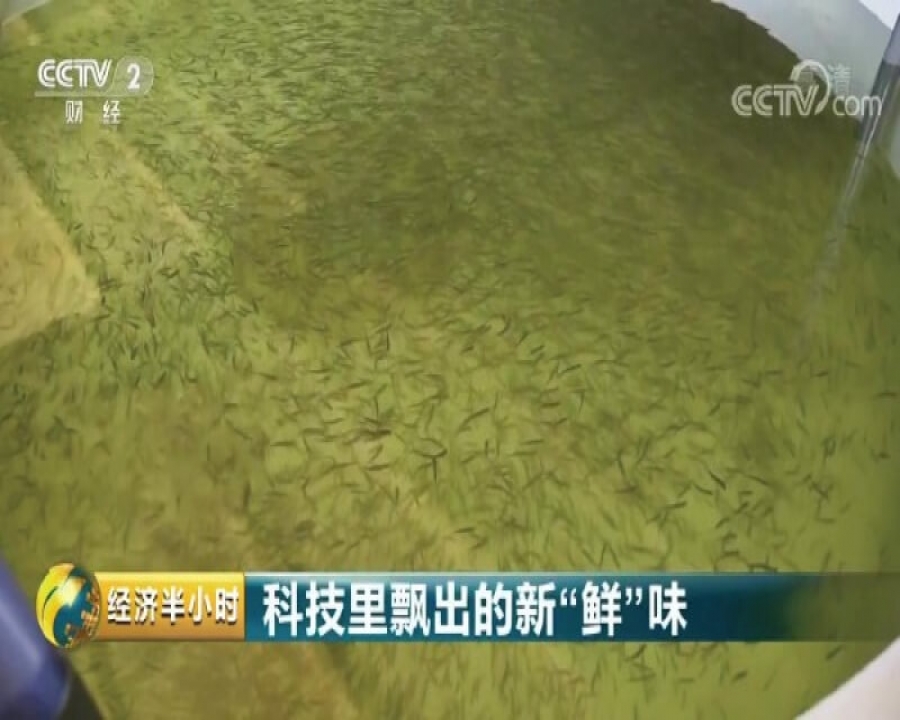 青海民澤龍羊峽生態水殖有限公司