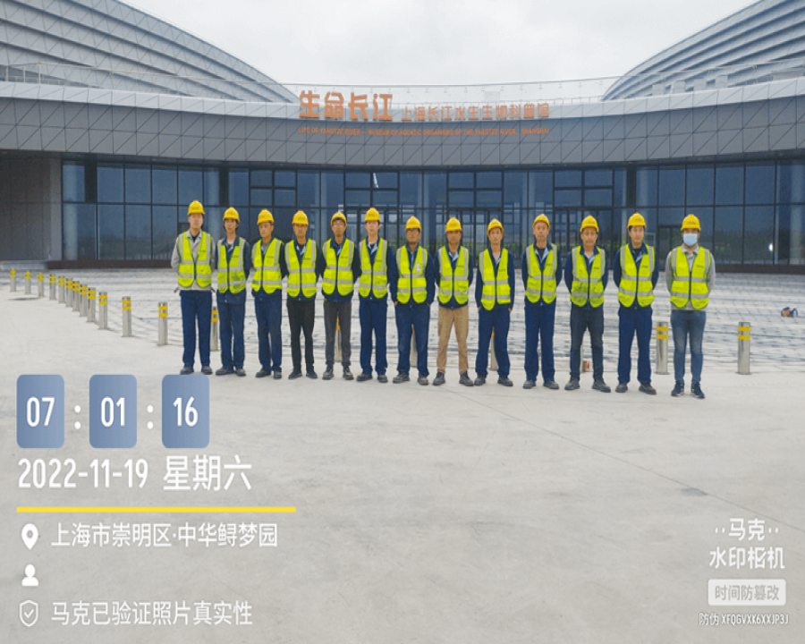 長江口中華鱘自然保護區 - 中華鱘
