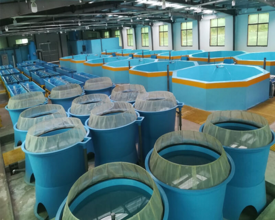 貴州 - 淡水魚孵化繁育